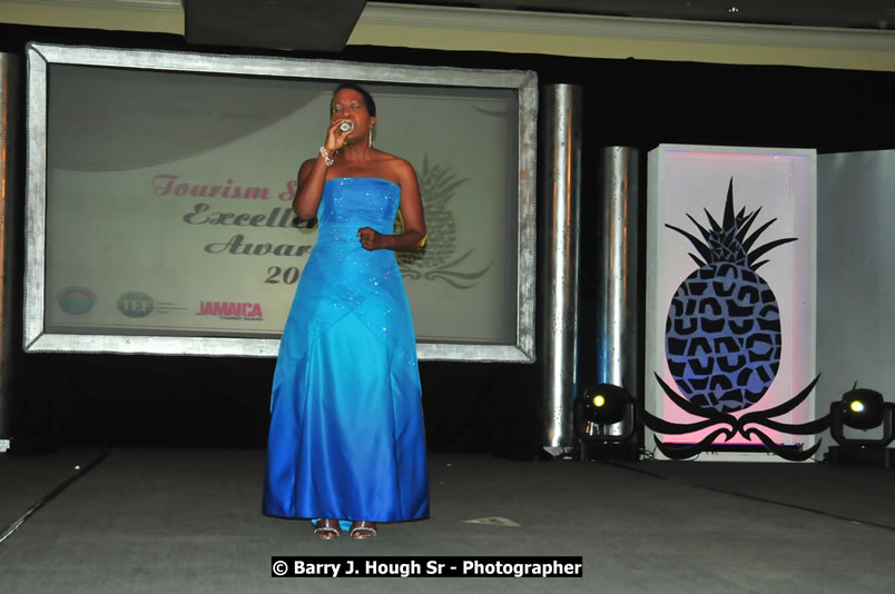 The Ministry of Tourism - Tourism Service Excellence Awards Ceremony held at the Ritz Carlton Rose Rall Golf and Spa Resort, Montego Bay on Friday, April 24, 2009 - Photographs by Net2Market.com - Barry J. Hough Sr. Photojournalist/Photograper - Photographs taken with a Nikon D300 - Negril Travel Guide, Negril Jamaica WI - http://www.negriltravelguide.com - info@negriltravelguide.com...!